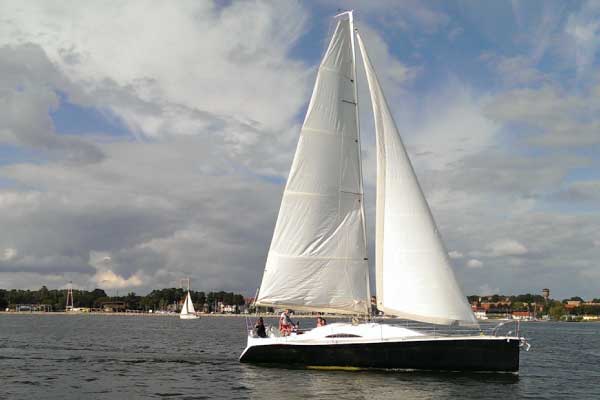 Twister 36